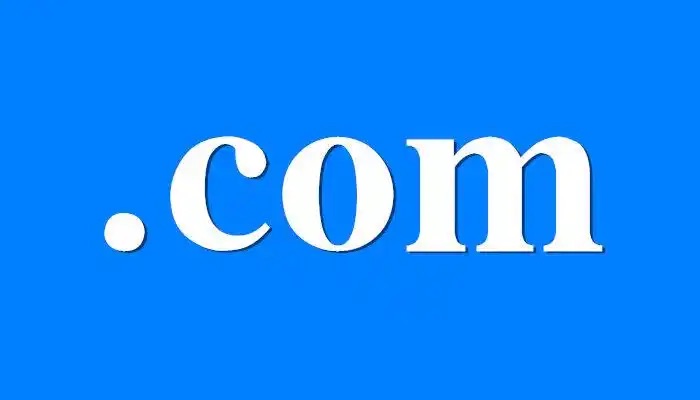 .com域名,.net域名