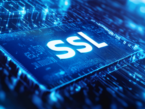 DV SSL证书申请流程